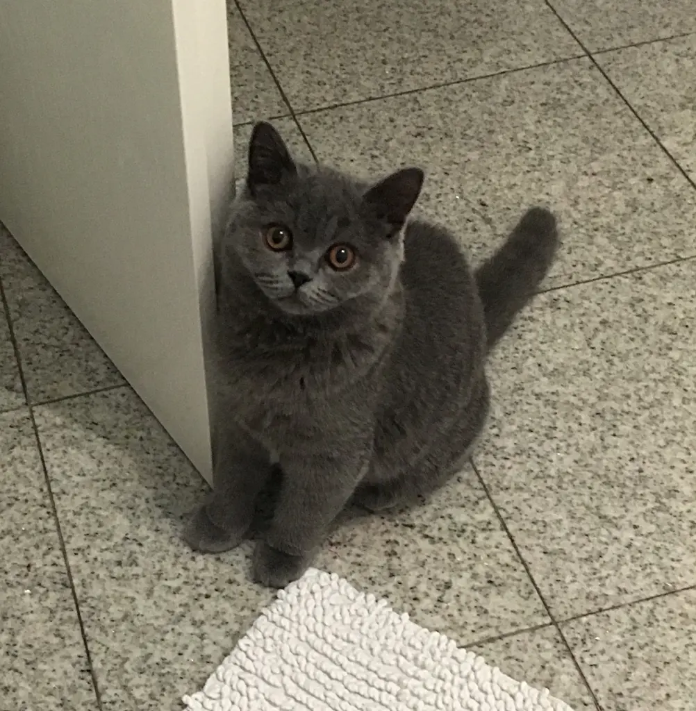 Condolence image of Emma an Pauline