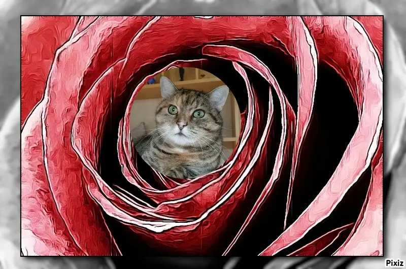 Condolence image of Tanja mit Timmy im Herzen 