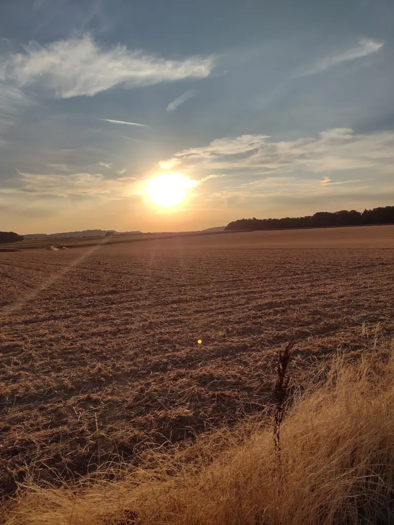 Condolence image of Corinna mit Emma, Pummelchen und anderen Sternleine im Herzen
