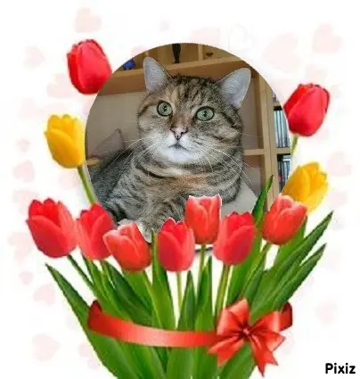 Condolence image of Tanja mit Timmy im Herzen