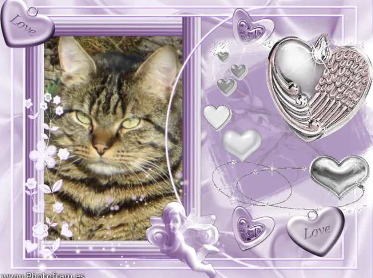 Condolence image of Carmen mit Ravi & Zausel