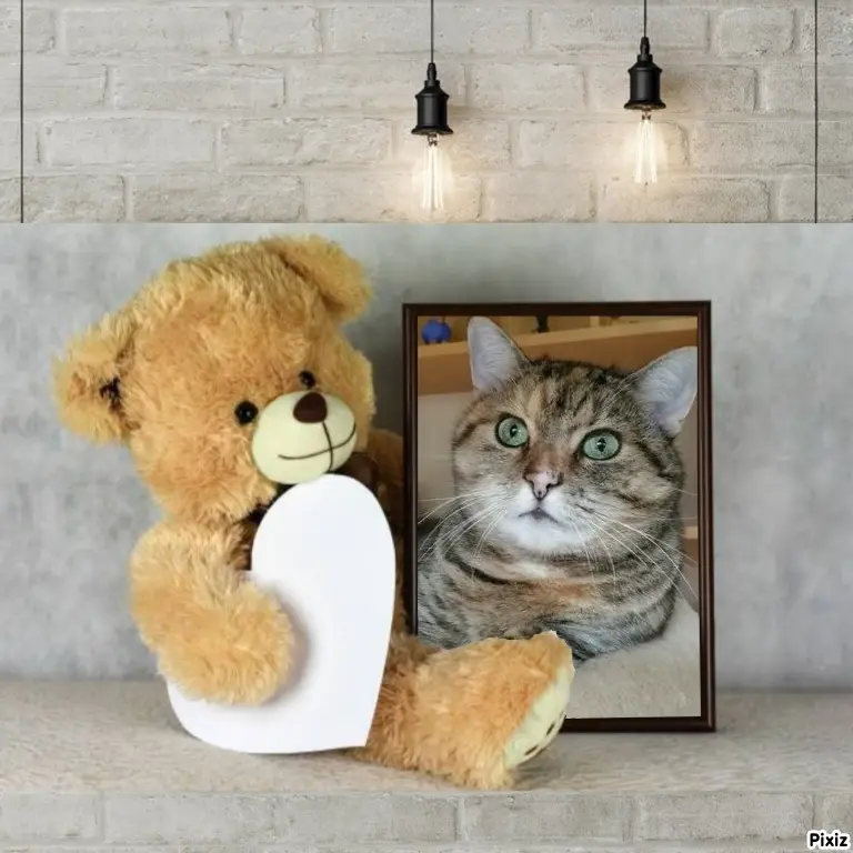 Condolence image of Tanja mit Timmy im Herzen 