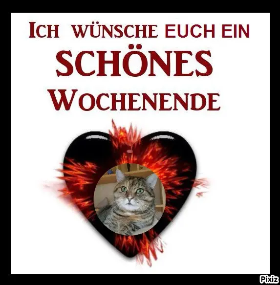 Condolence image of Tanja mit Timmy im Herzen