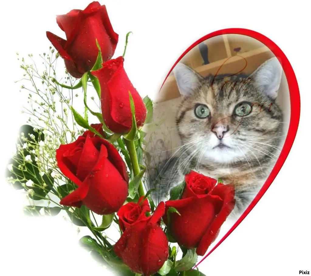 Condolence image of Tanja mit Timmy im Herzen