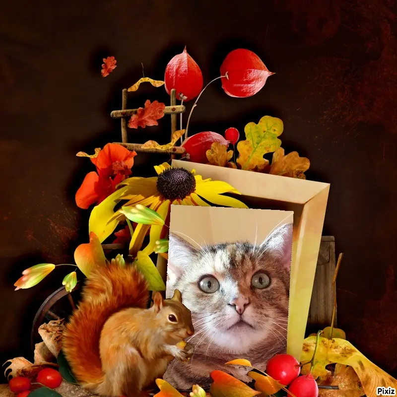 Condolence image of Patricia mit Bunny ❤️