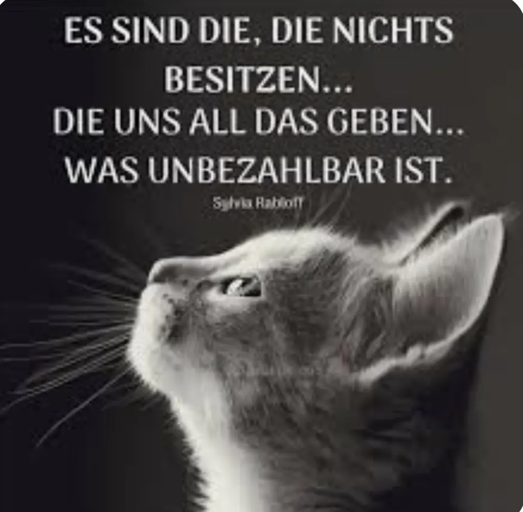 Condolence image of Sonja mit Benny und Emma im ❤️