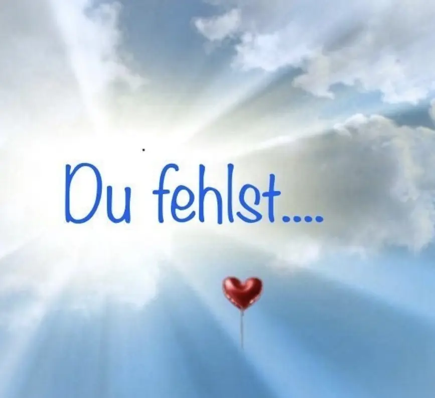 Condolence image of Für mein kleines Katzenkind 