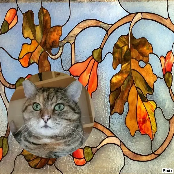 Condolence image of Tanja mit Timmy im Herzen 