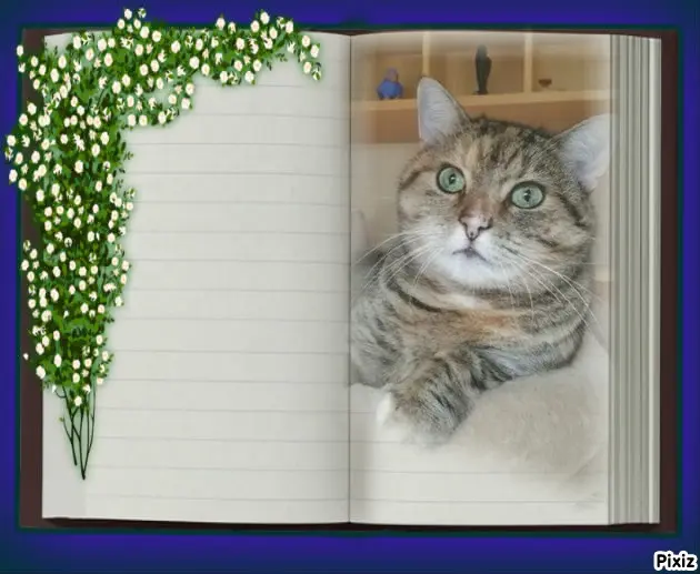 Condolence image of Tanja mit Timmy im Herzen 