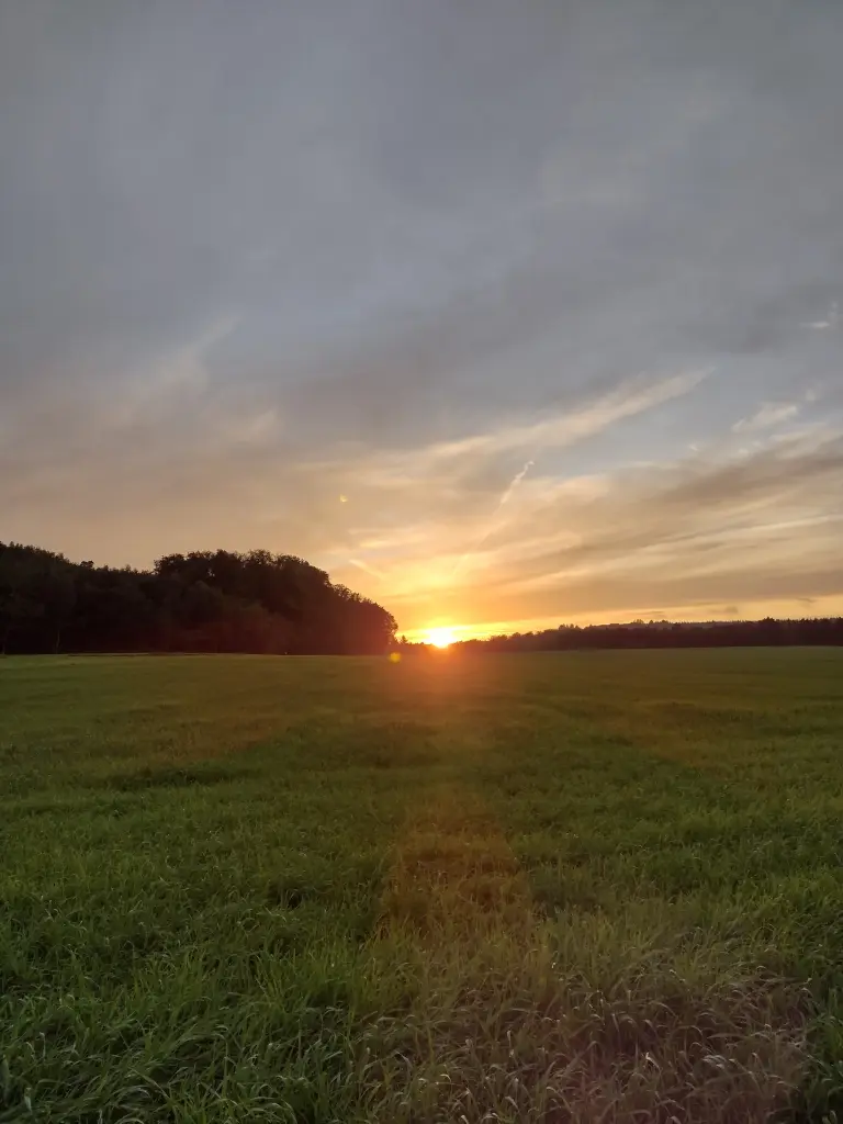 Condolence image of Corinna mit Emma, Pummelchen und anderen Sternlein im ❤️