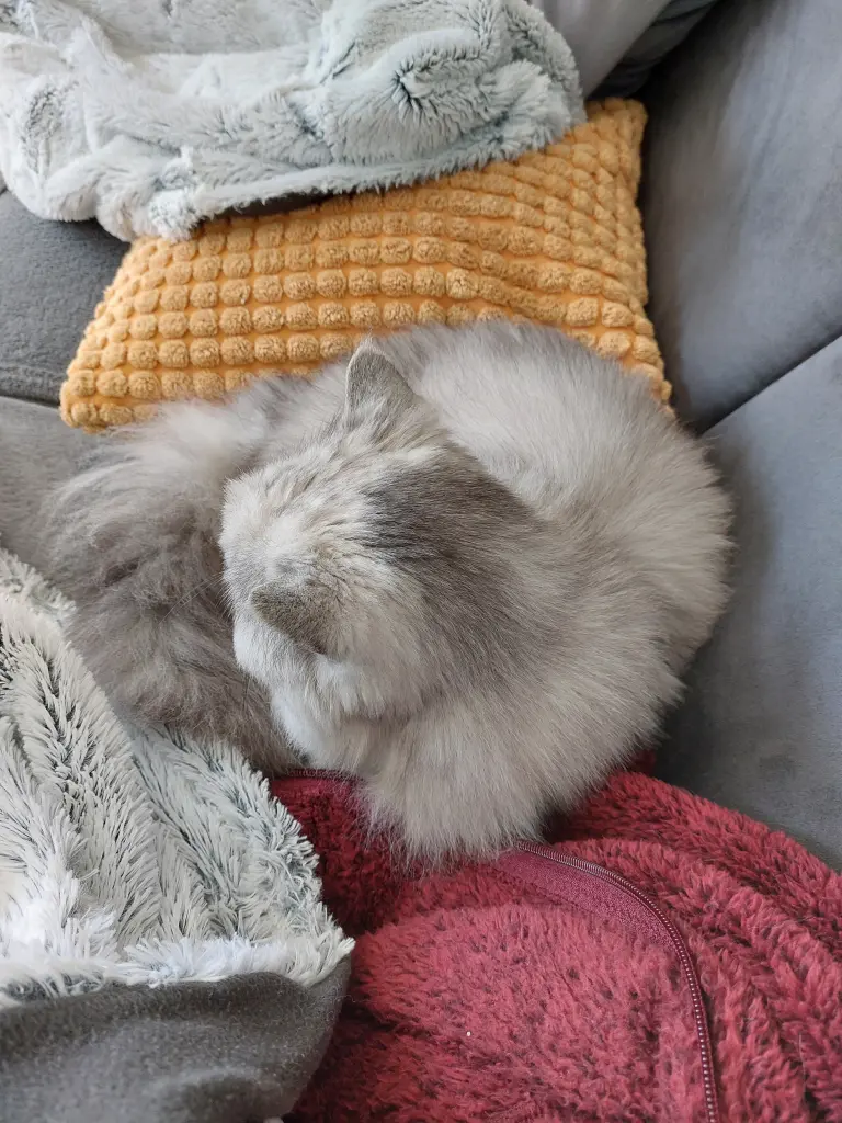 Condolence image of Daniela für mein Mädchen ❤️