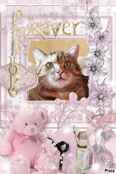 Condolence image of Patricia mit Bunny ❤️ 