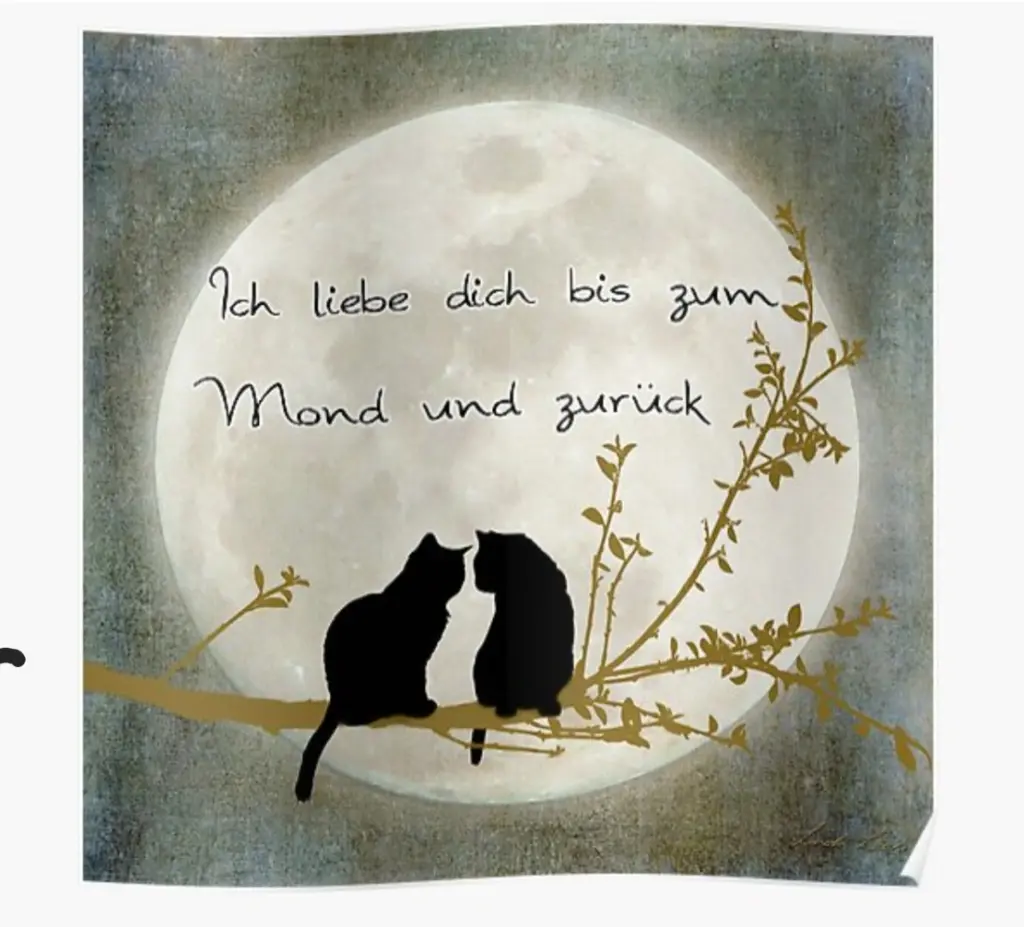 Condolence image of Für mein kleines Fellkind ❤️