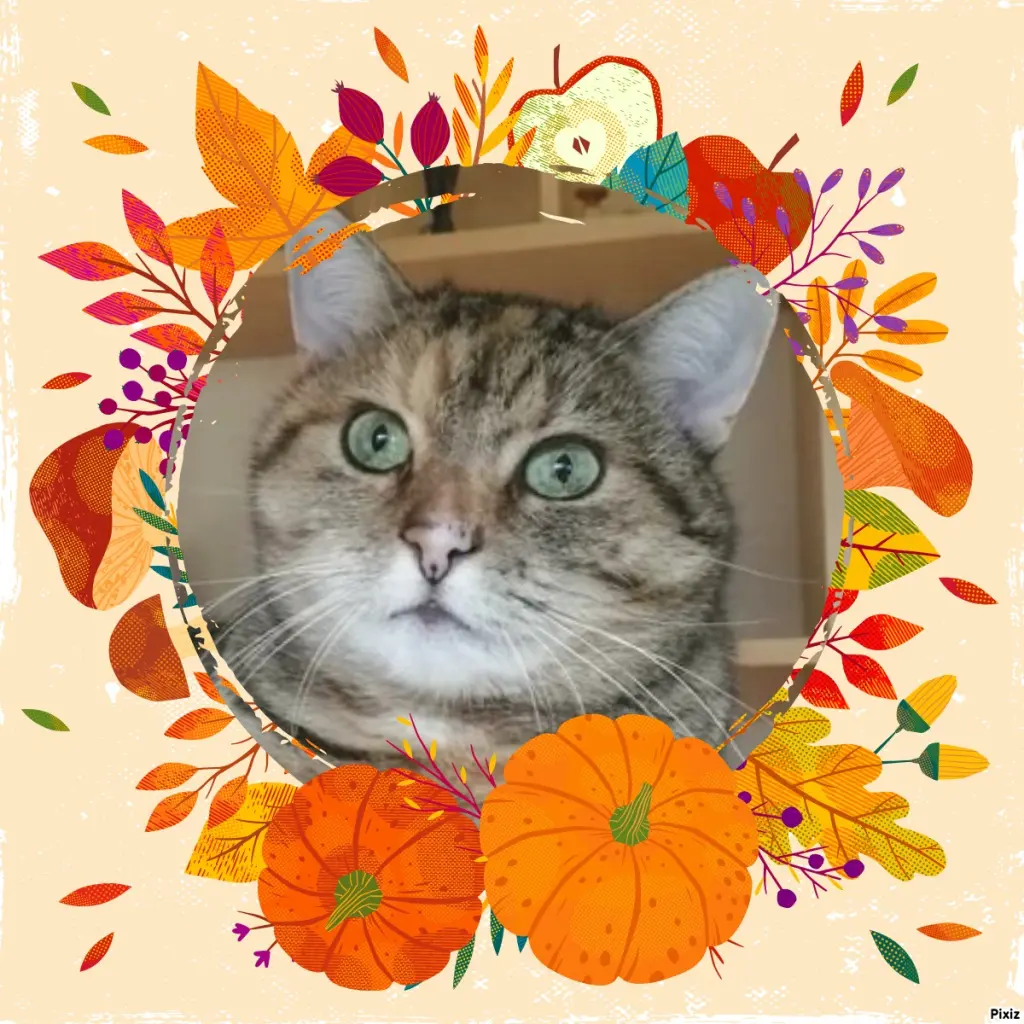 Condolence image of Tanja mit Timmy im Herzen 