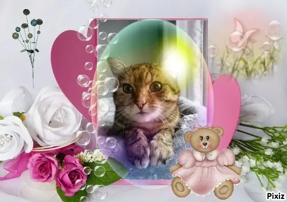 Condolence image of Patricia mit Bunny ❤️ 