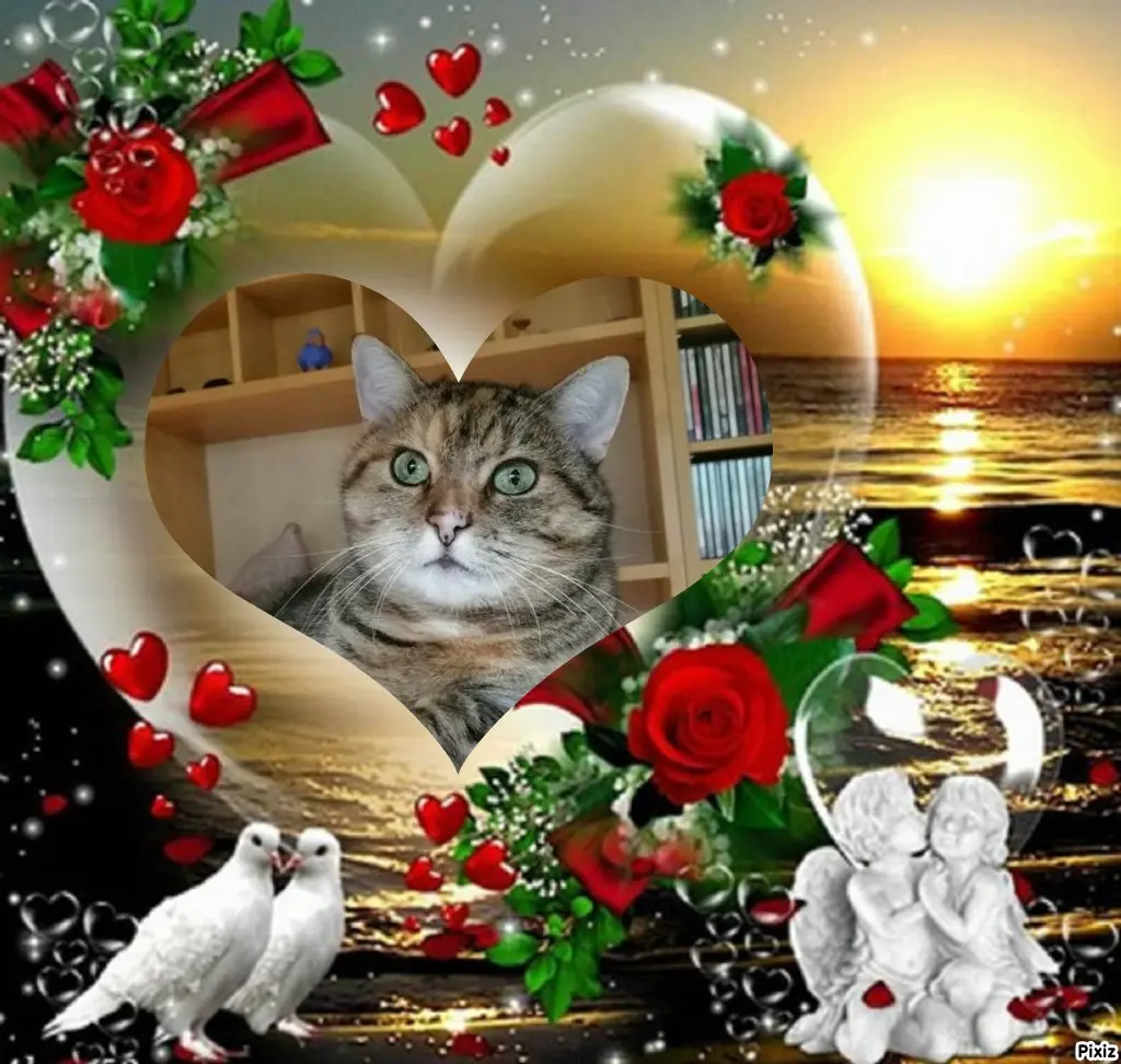 Condolence image of Tanja mit Timmy im Herzen