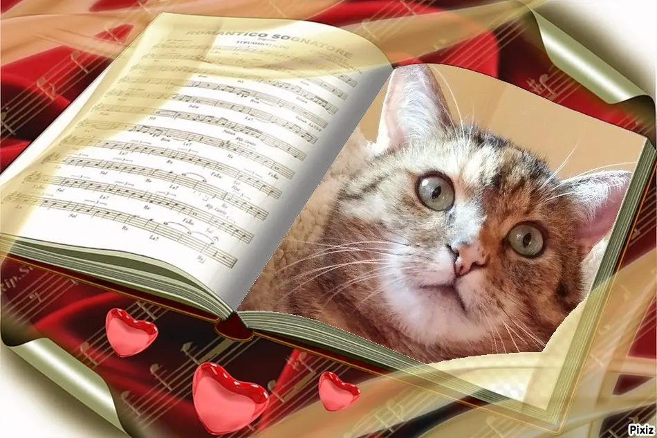 Condolence image of Patricia mit Bunny ❤️