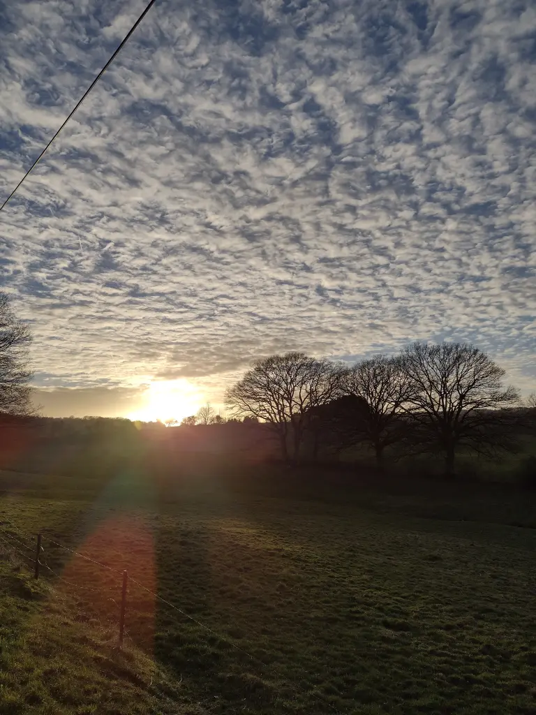 Condolence image of Corinna mit Emma, Pummelchen und anderen Sternlein im Herzen