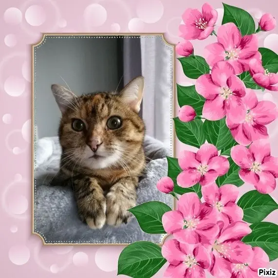 Condolence image of Patricia mit Bunny ❤️ 