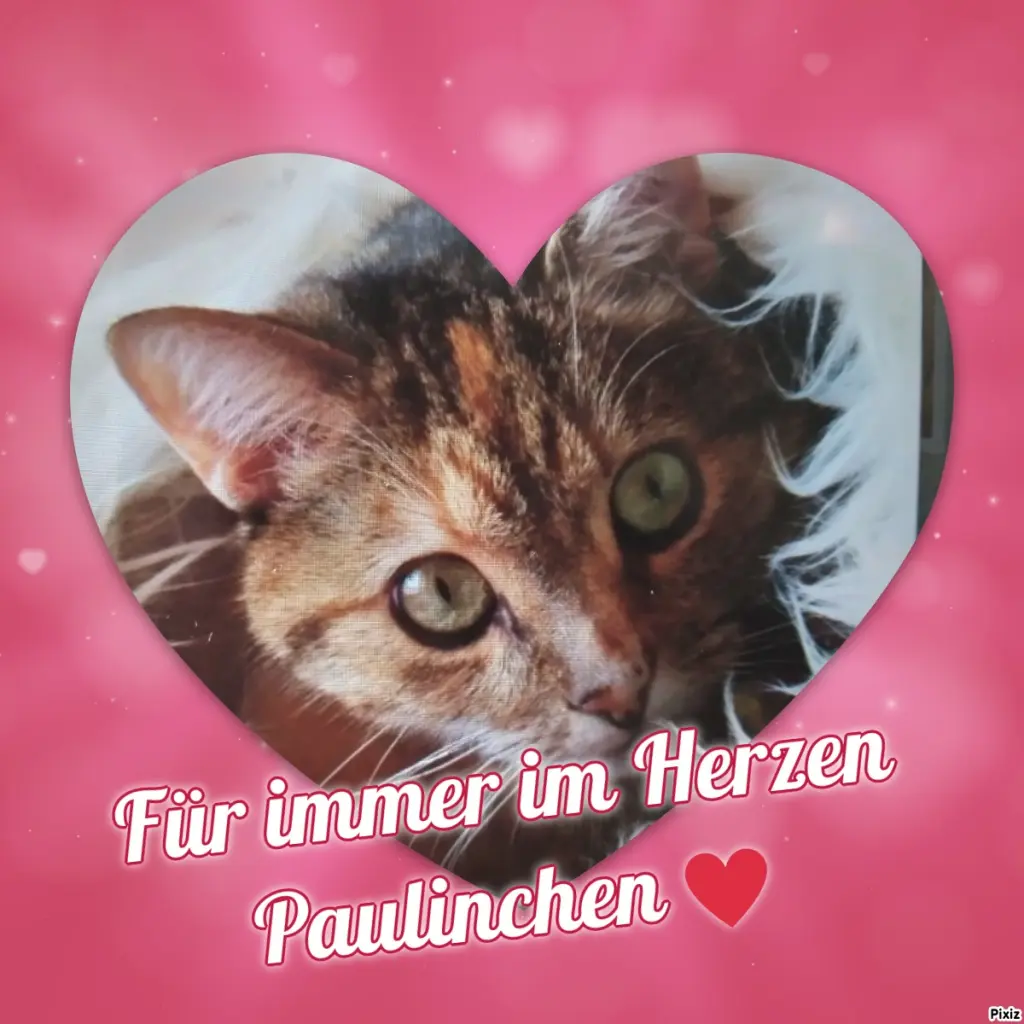 Condolence image of Für Dich kleine Pauline ❤️