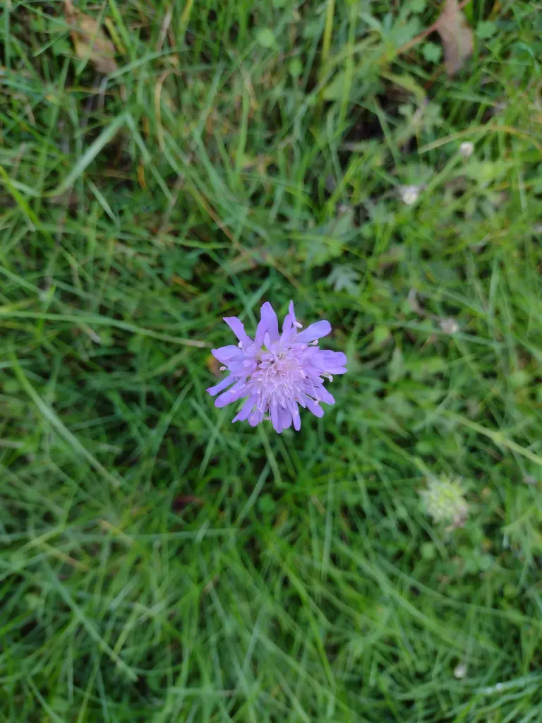 Condolence image of Corinna mit Emma, Pummelchen und anderen Sternlein im ❤️