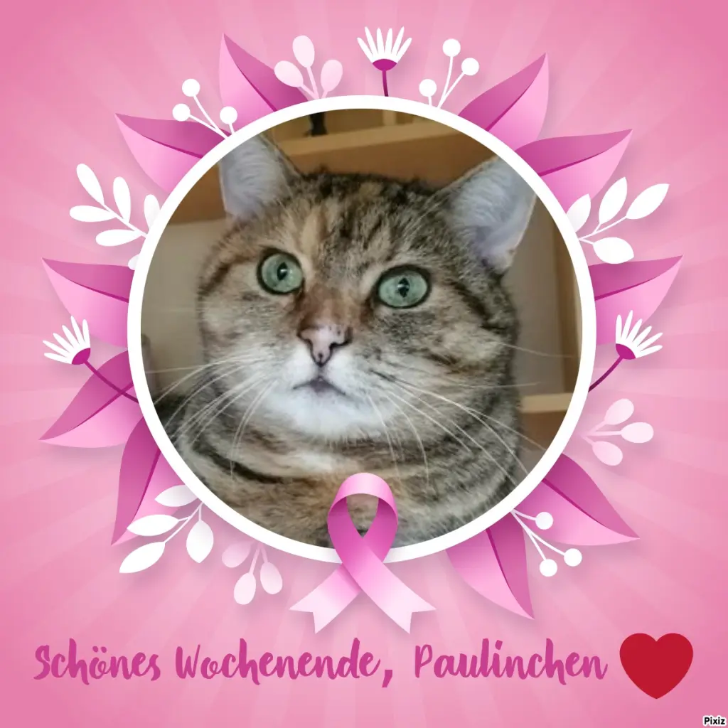 Condolence image of Tanja mit Timmy im Herzen 