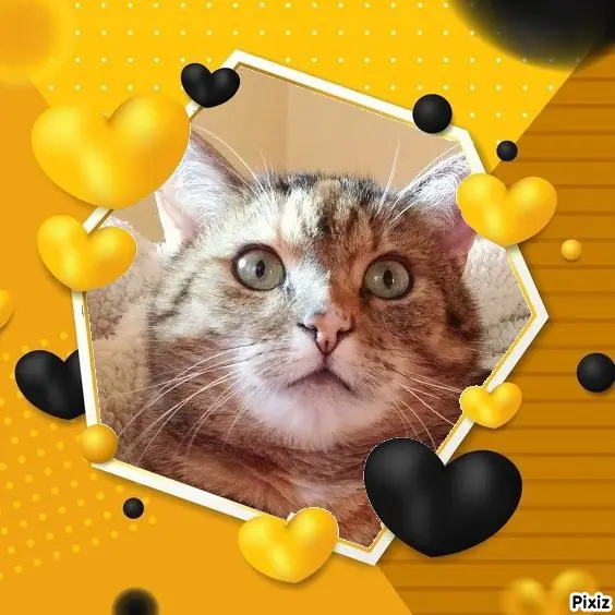 Condolence image of Patricia mit Bunny ❤️ 