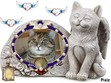 Condolence image of Tanja mit Timmy im Herzen 