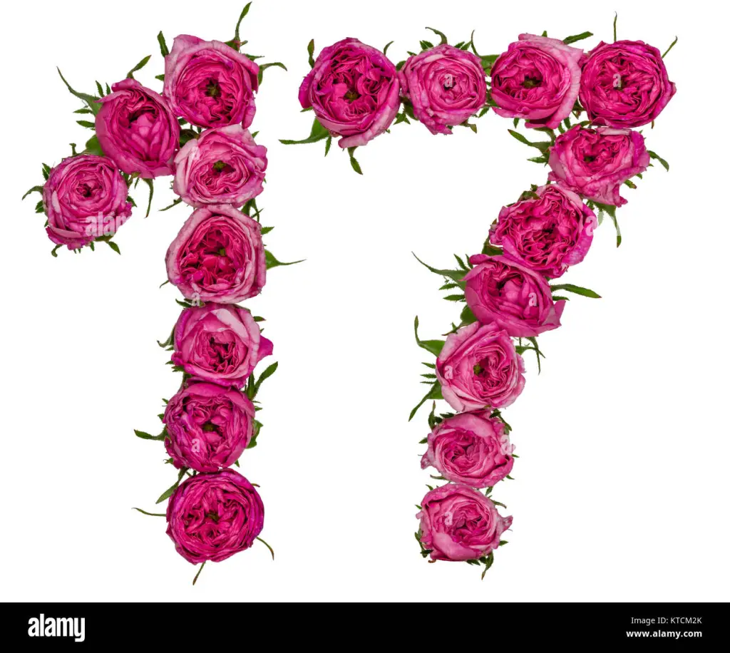 Condolence image of Elisabeth mit Marple im ♥