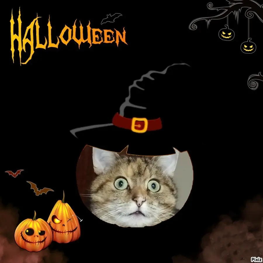 Condolence image of Tanja mit Timmy im Herzen 