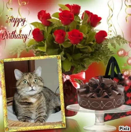 Condolence image of Tanja mit Timmy im Herzen 