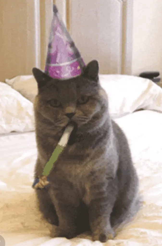 Condolence image of Sonja an Pauline