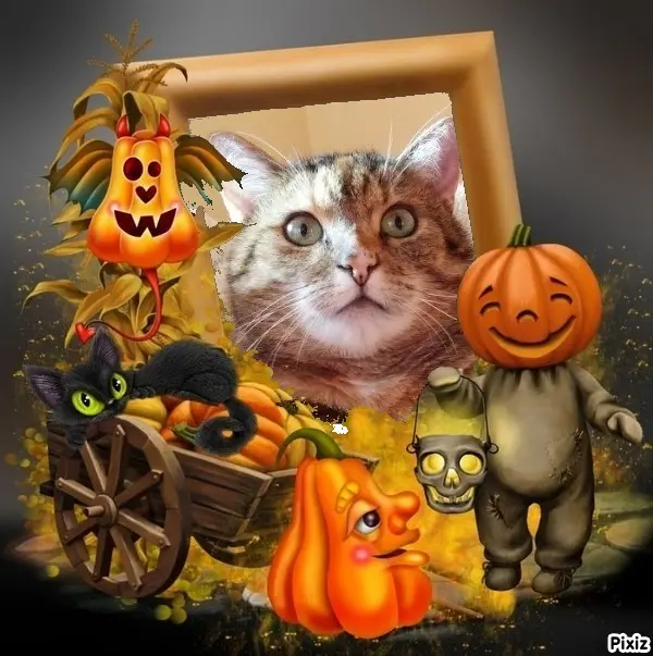 Condolence image of Patricia mit Bunny ❤️