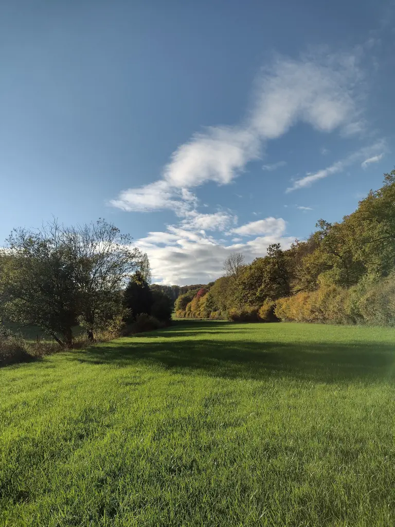 Condolence image of Corinna mit Emma, Pummelchen und anderen Sternleine im Herzen