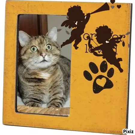 Condolence image of Tanja mit Timmy im Herzen 