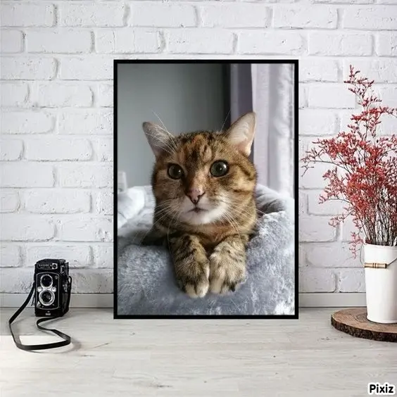 Condolence image of Patricia mit Bunny ❤️ 