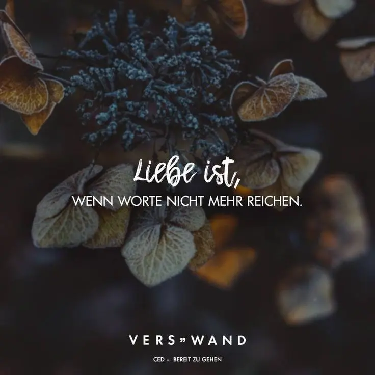 Condolence image of Daniela für Paulinchen ❤️ Sonnenschein 