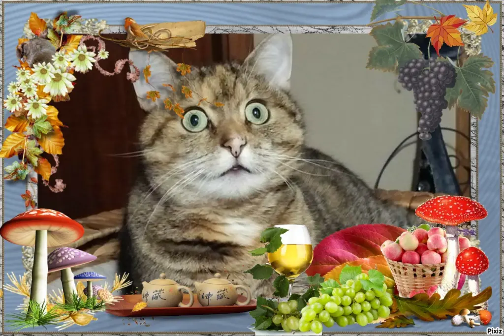 Condolence image of Tanja mit Timmy im Herzen 