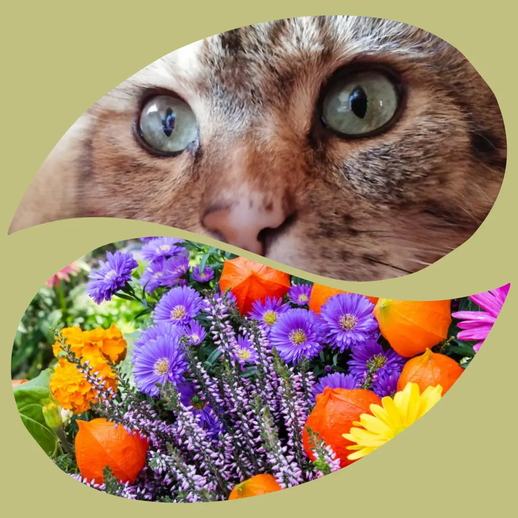 Condolence image of Corinna mit Emma, Pummelchen und anderen Sternlein im ❤️