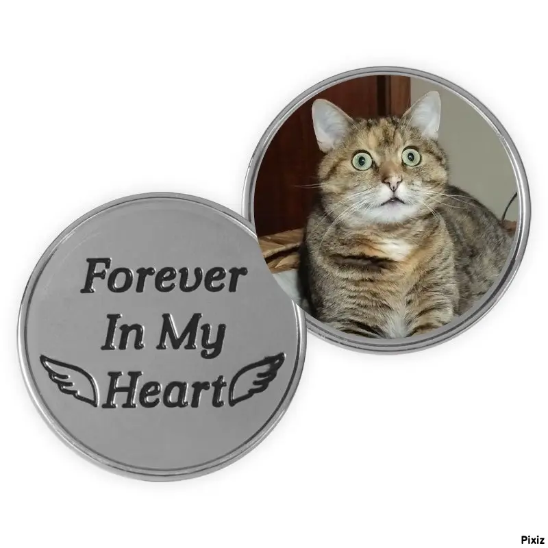 Condolence image of Tanja mit Timmy im Herzen 