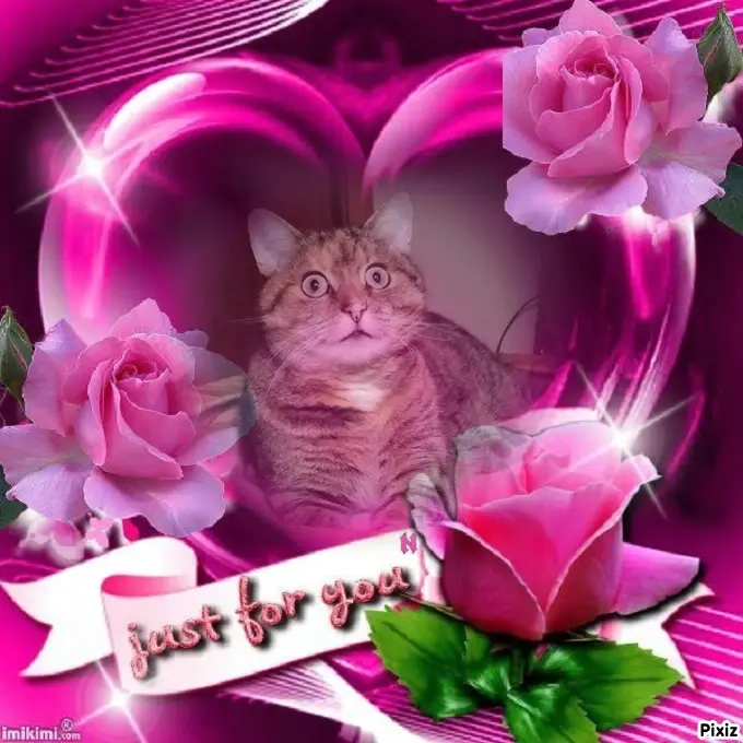 Condolence image of Tanja mit Timmy im Herzen 