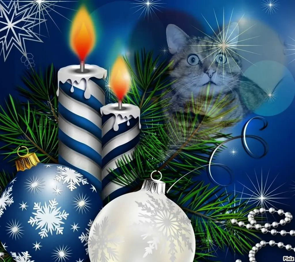 Condolence image of Tanja mit Timmy im Herzen 