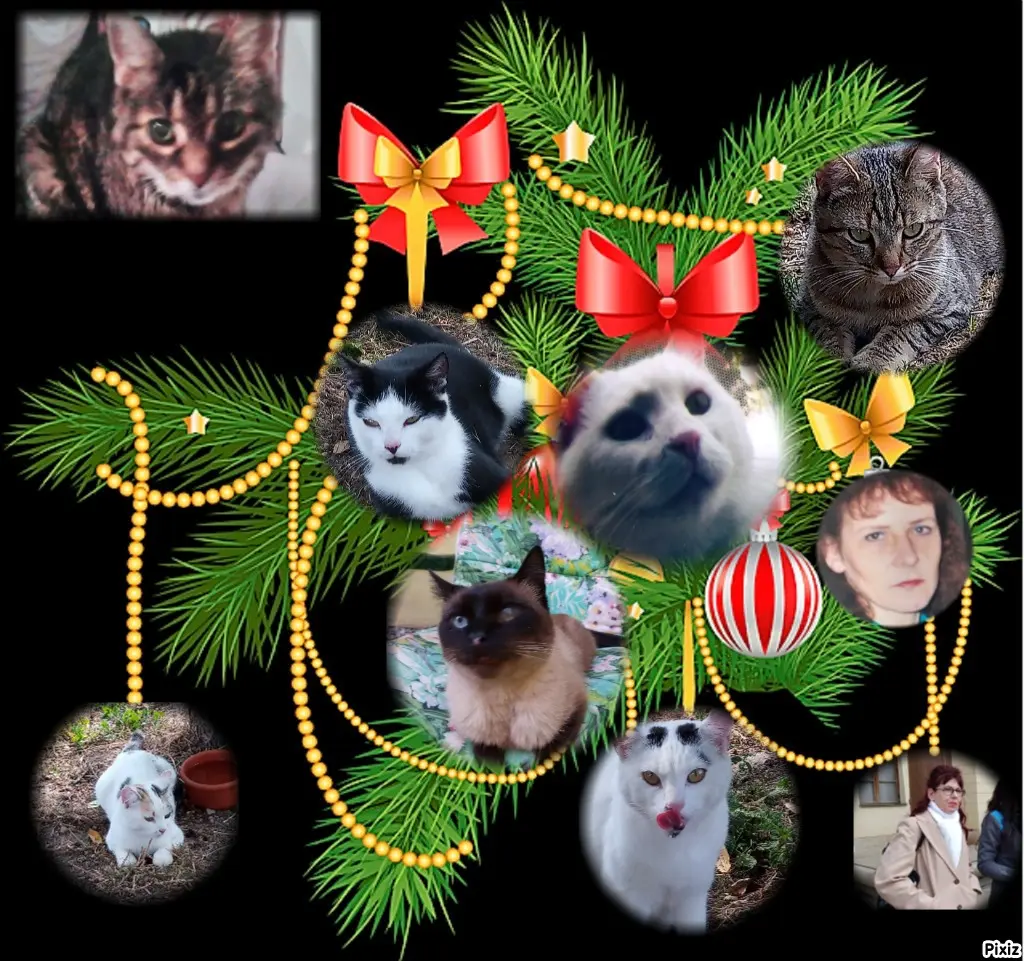 Condolence image of Für Dich kleines Sternchen Paulinchen ♥️