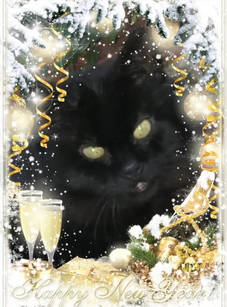 Condolence image of Carmen, Ravi und Zausi