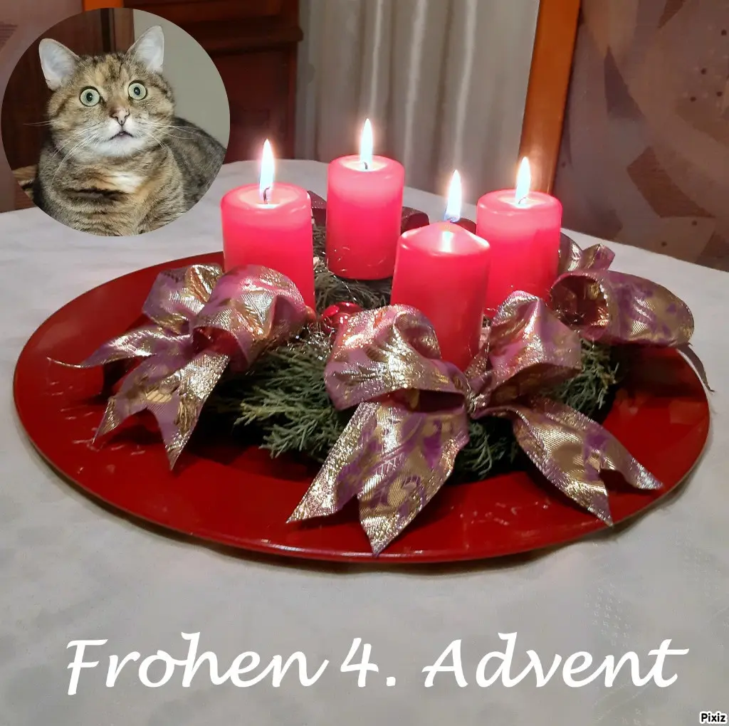 Condolence image of Tanja mit Timmy im Herzen 