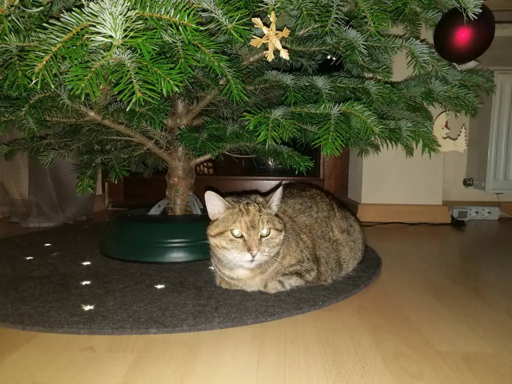Condolence image of Mama an Pauline ❤️