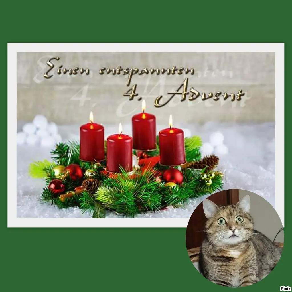 Condolence image of Tanja mit Timmy im Herzen 