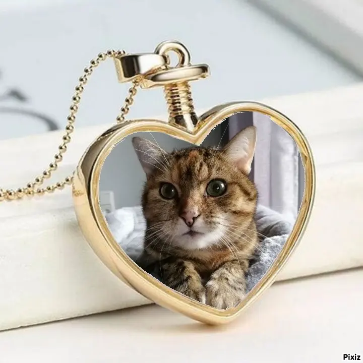 Condolence image of Patricia mit Bunny ❤️ 