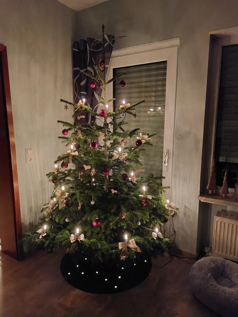 Condolence image of für mein Fellkind ❤️