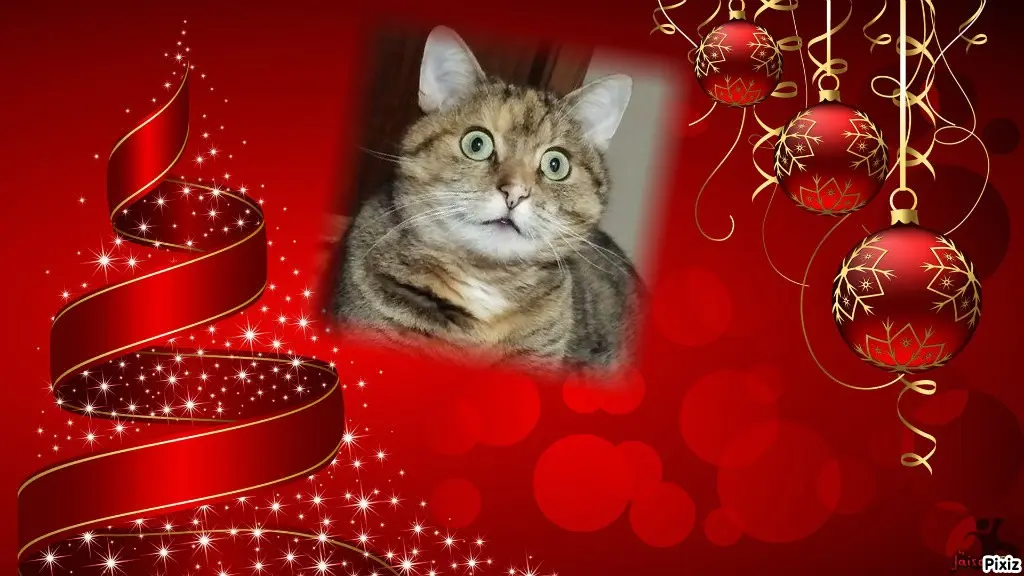 Condolence image of Tanja mit Timmy im Herzen